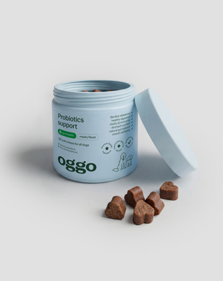 Пробиотик за куче Bacillus velezensis за храносмилане, черва и имунитет Oggo 180 g - 4